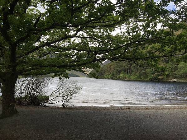 20150605_Wicklow_Park_028.jpg