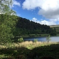 20150605_Wicklow_Park_071.jpg