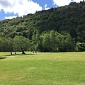 20150605_Wicklow_Park_120.jpg