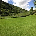 20150605_Wicklow_Park_125.jpg