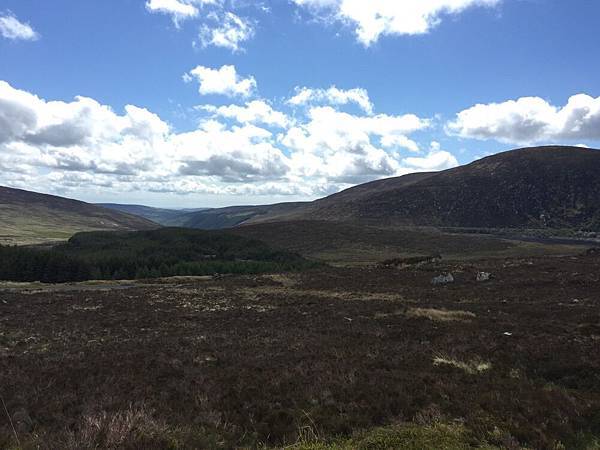 20150605_Wicklow_Park_148.jpg