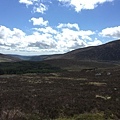 20150605_Wicklow_Park_148.jpg