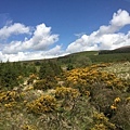 20150605_Wicklow_Park_155.jpg