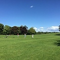 20150605_Wicklow_Park_253.jpg