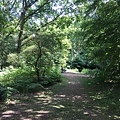 20150609_Berlin_Tiergarten_043.jpg