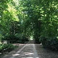 20150609_Berlin_Tiergarten_046.jpg