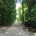 20150609_Berlin_Tiergarten_047.jpg