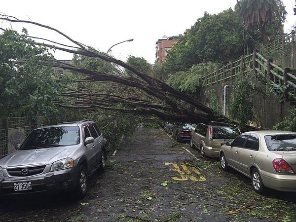 20150808_Typhoon_Soudelor_12.jpg