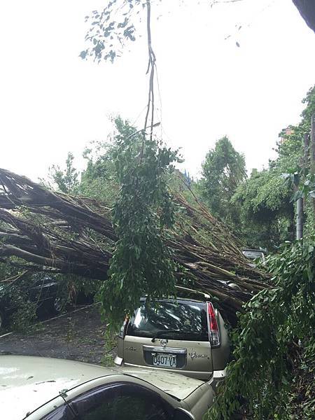 20150808_Typhoon_Soudelor_16.jpg