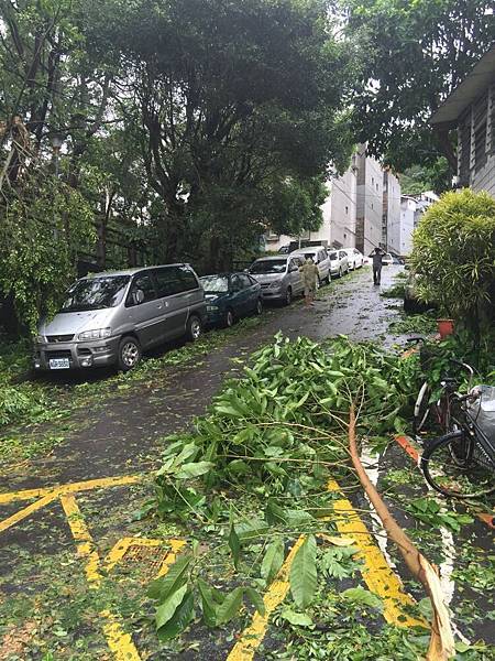 20150808_Typhoon_Soudelor_18.jpg