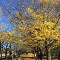 20151120_Tokyo_Bruce_253.jpg