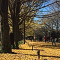 20151120_Tokyo_Bruce_270.jpg