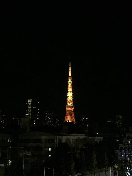 20151120_Tokyo_Bruce_332.jpg