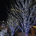 20151120_Tokyo_Bruce_339.jpg