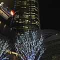 20151120_Tokyo_Bruce_340.jpg