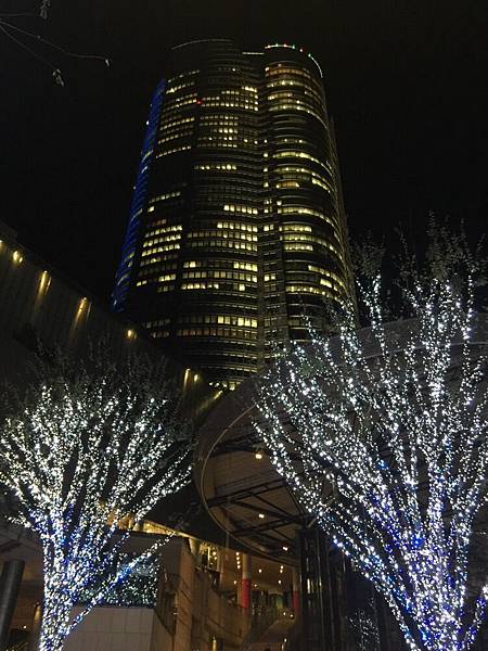 20151120_Tokyo_Bruce_344.jpg