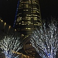 20151120_Tokyo_Bruce_344.jpg