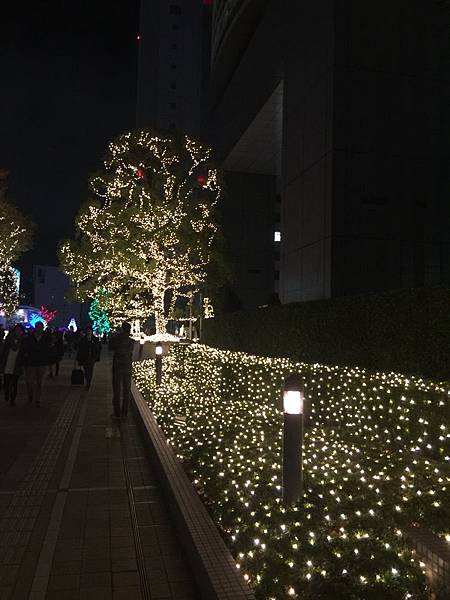 20151120_Tokyo_Bruce_730.jpg