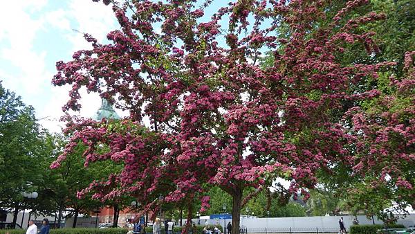 20160605_Stockholm_Lumix_142.jpg