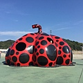 20160902_Naoshima_333.jpg