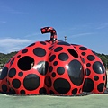 20160902_Naoshima_344.jpg