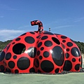 20160902_Naoshima_343.jpg