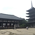 20160908_Nara_Peach_048.jpg