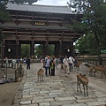 20160908_Nara_Peach_122.jpg