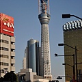 Tokyo_20101129_140.jpg