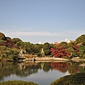 Tokyo_20101128_118.jpg