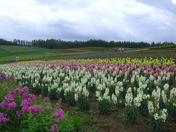 2010_Hokkaido_132.jpg