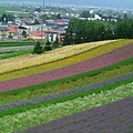 2010_Hokkaido_182.jpg