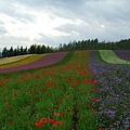 2010_Hokkaido_185.jpg