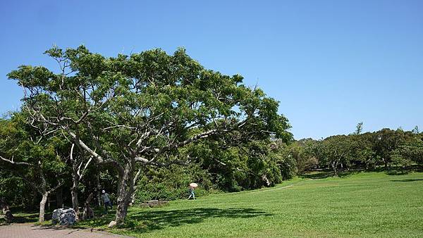 Kenting_20110604053.jpg