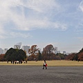 Tokyo_20101126_120.jpg