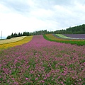 2010_Hokkaido_186.jpg