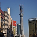 Tokyo_20101129_128.jpg