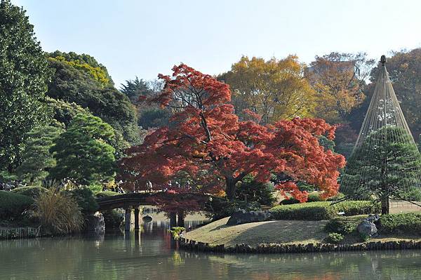 Tokyo_20101128_073.jpg