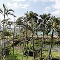 2011_Kenting160.jpg