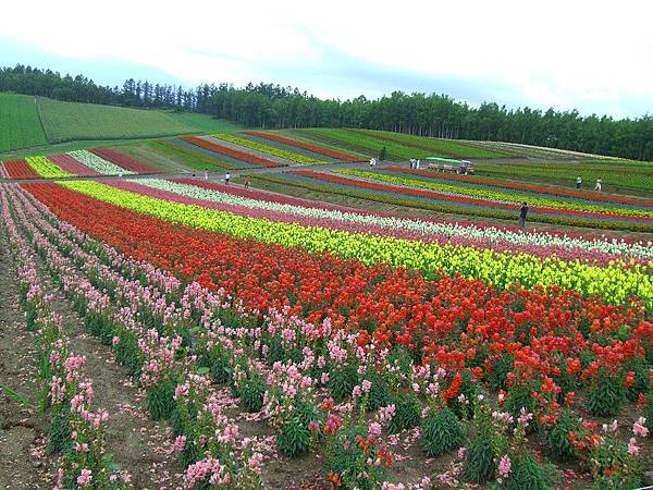 2010_Hokkaido_134.jpg