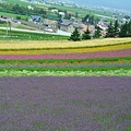 2010_Hokkaido_169.jpg