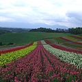 2010_Hokkaido_138.jpg