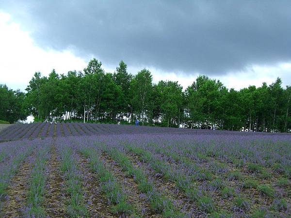 2010_Hokkaido_140.jpg