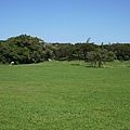 Kenting_20110604051.jpg