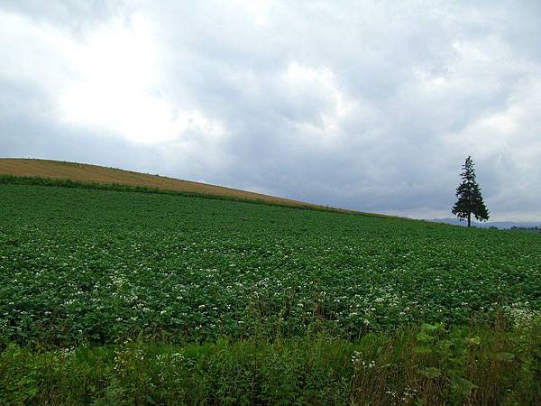 2010_Hokkaido_153.jpg