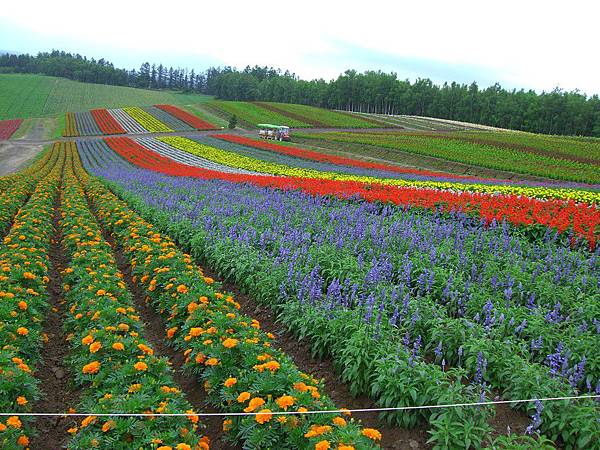 2010_Hokkaido_136.jpg