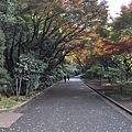 Tokyo_20101126_033.jpg