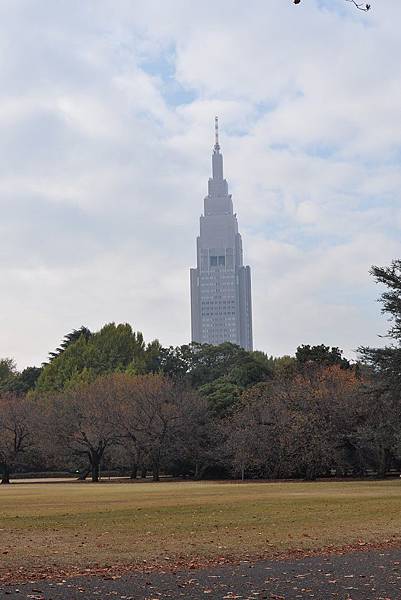 Tokyo_20101126_066.jpg