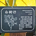 Xiaoliuqiu_20100924_172.jpg