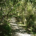 Kenting_20110604058.jpg